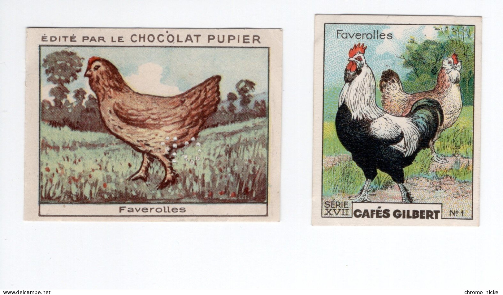 Chromo Poules FAVEROLLES Pub: Chocolat Pupier  68 X 51 Mm Et Cafés Gilbert  2 Scans - Sonstige & Ohne Zuordnung