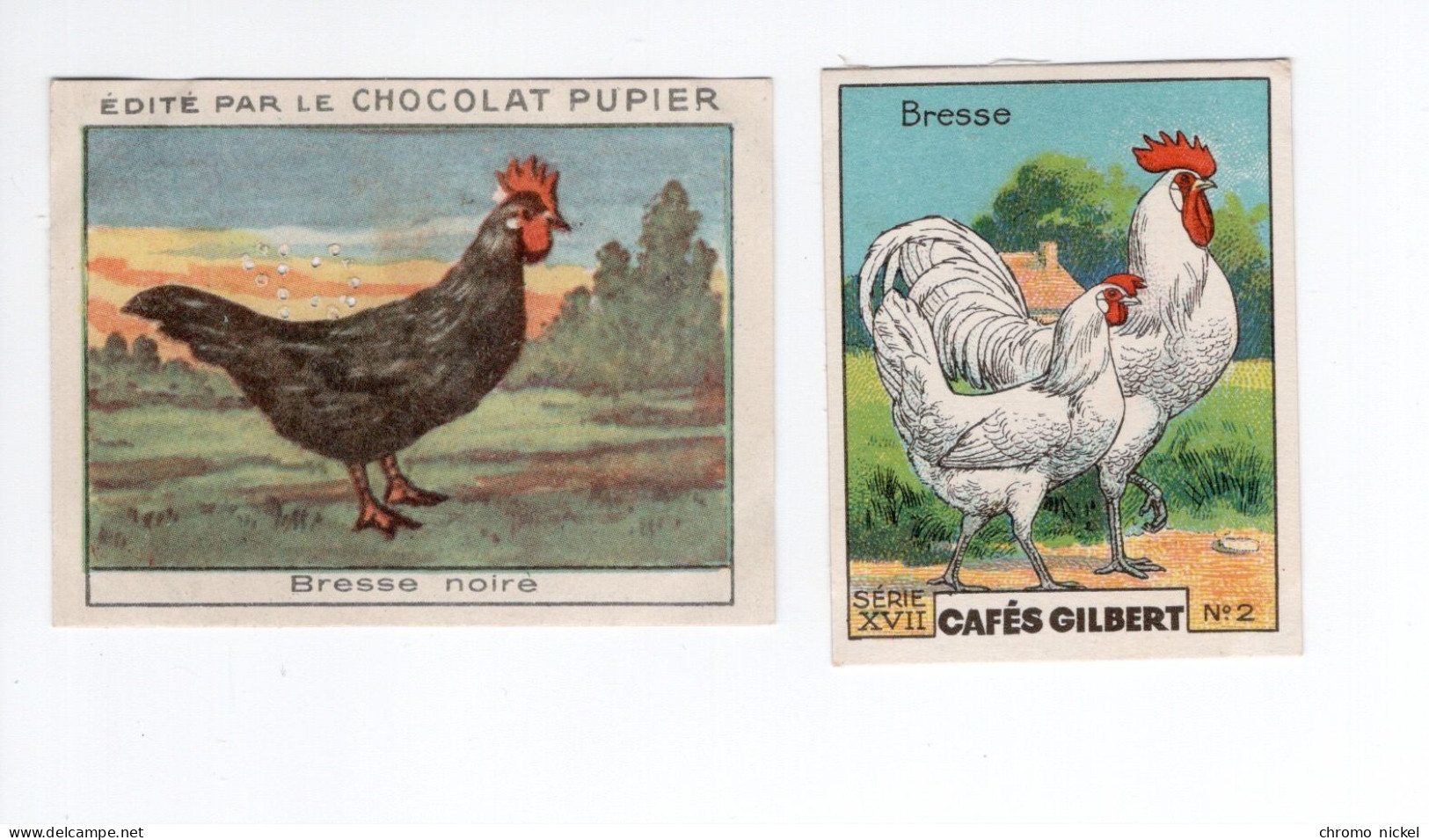 Chromo Poules BRESSE Pub: Chocolat Pupier  68 X 51 Mm Et Cafés Gilbert  2 Scans - Other & Unclassified