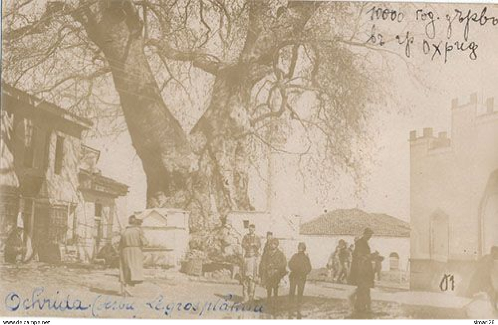 OCHRIDA - CARTE PHOTO - PLACE DU VILLAGE (LE GROS PLATANE) - Serbia