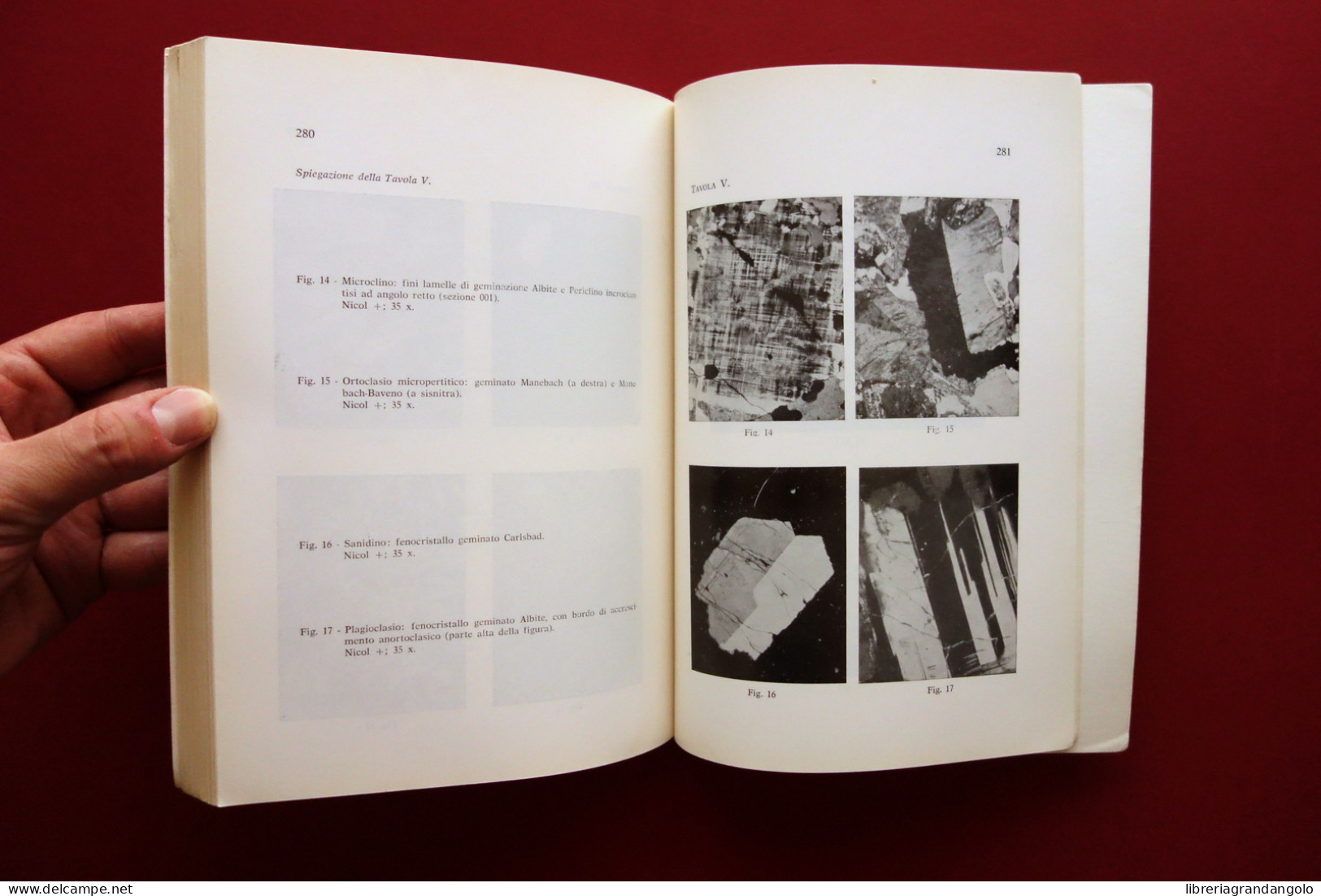Petrografia Microscopica Ugo Zezza La Goliardica Pavese 1976 Mineralogia - Zonder Classificatie