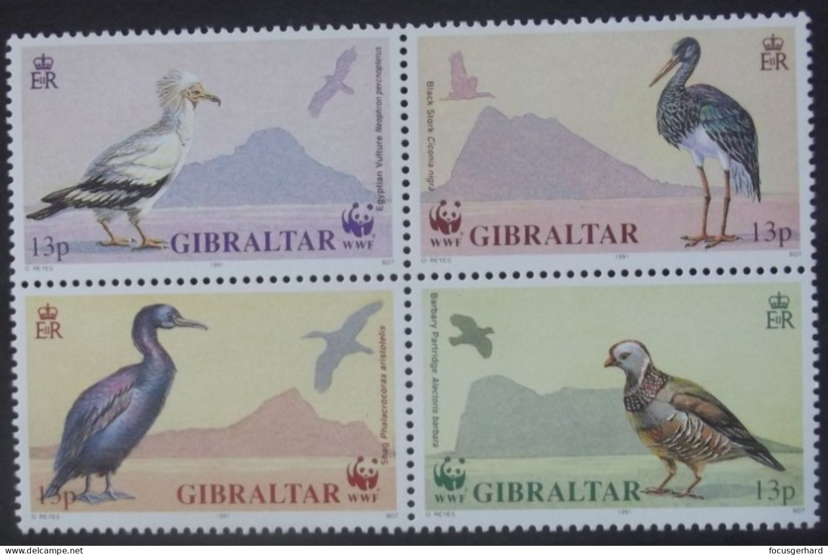 Gibraltar     WWF      1991       ** - Ongebruikt