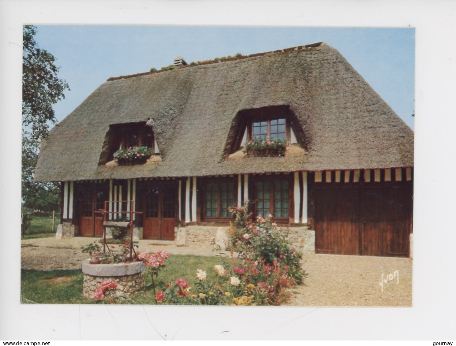 En Découvrant La Luxuriante Normandie : Une Chaumière Et... Des Fleurs (n°10/2368  Yvon) - Basse-Normandie