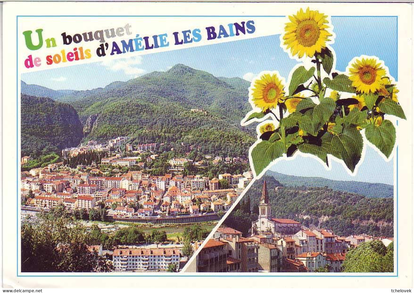 (66). Amelie Les Bains. N° 36.030 Thermalisme Tournesols & EKB 7546 écrite 1974 - Altri & Non Classificati