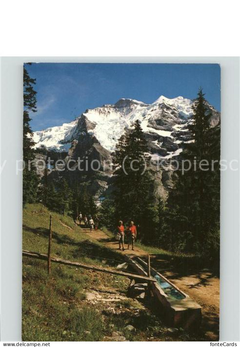 11497121 Wengen BE Mettlenalpweg Mit Jungfrau Berner Alpen Bergwandern Wengen - Andere & Zonder Classificatie