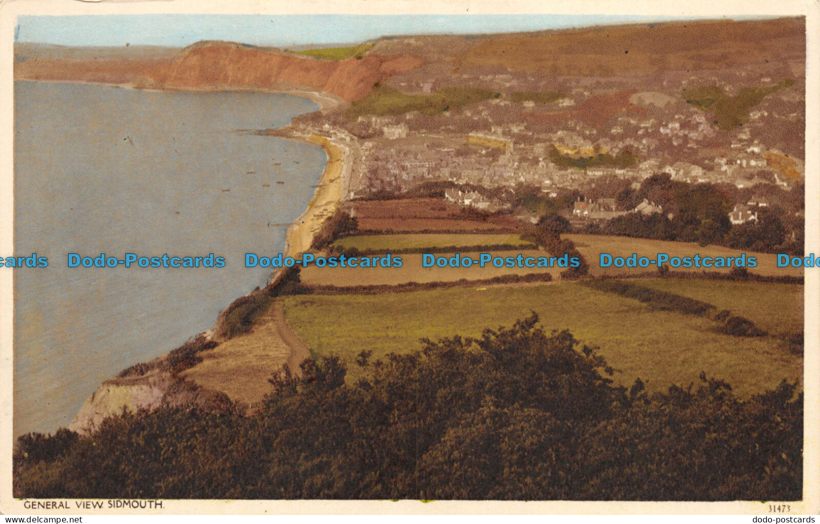 R076067 General View. Sidmouth - World