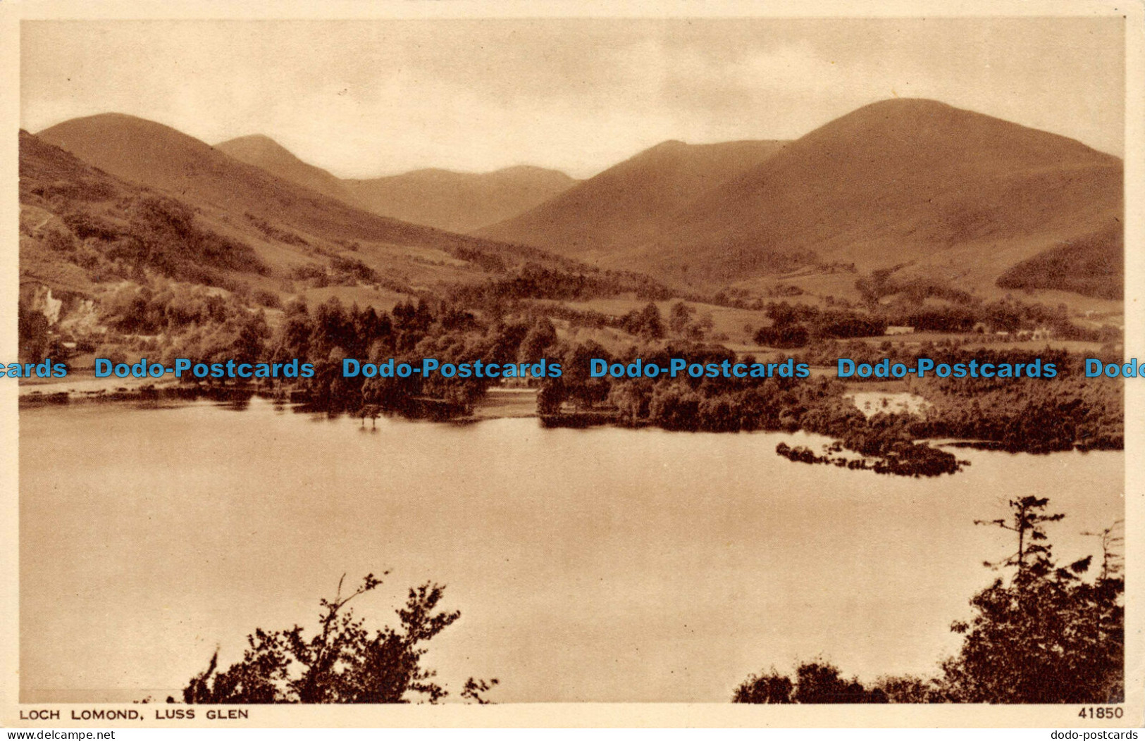 R076068 Loch Lomond. Luss Glen. Photochrom. Publishers To The World - Mondo