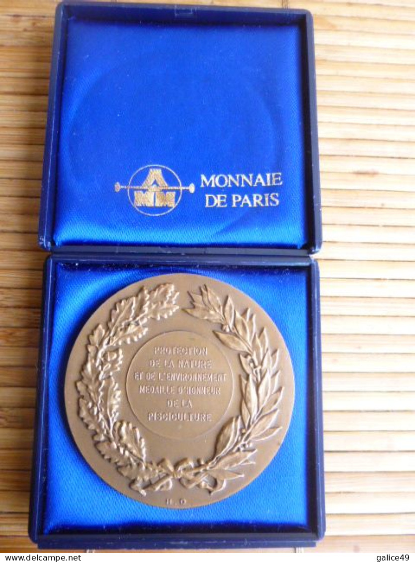 Protection De La Nature Et De L'Environnement -Médaille D’Honneur De La Pisciculture Graveur : Daniel Dupuis - SPL à FDC - Fischerei