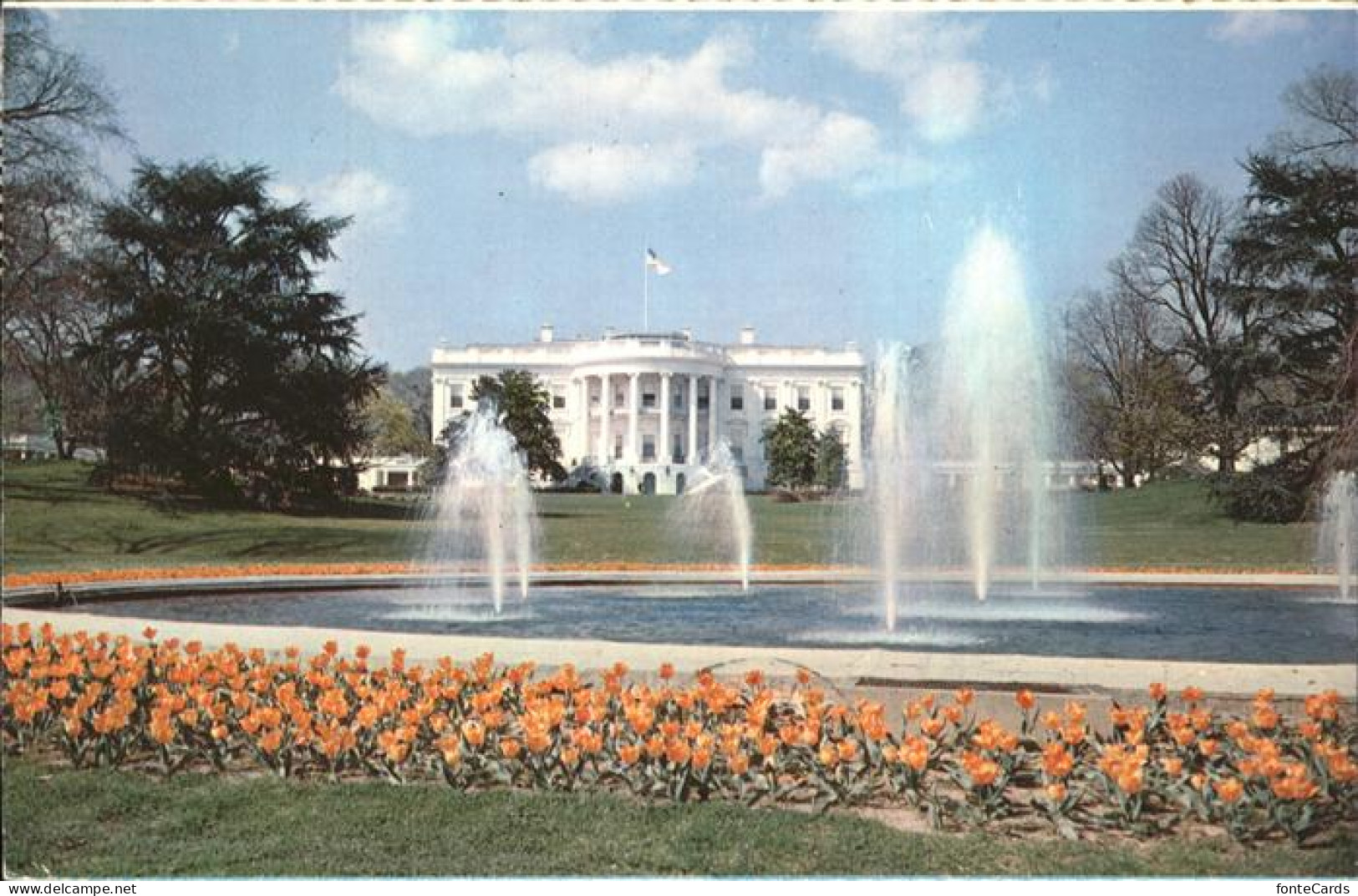 11491872 Washington DC The White House And Grounds Fountain  - Washington DC