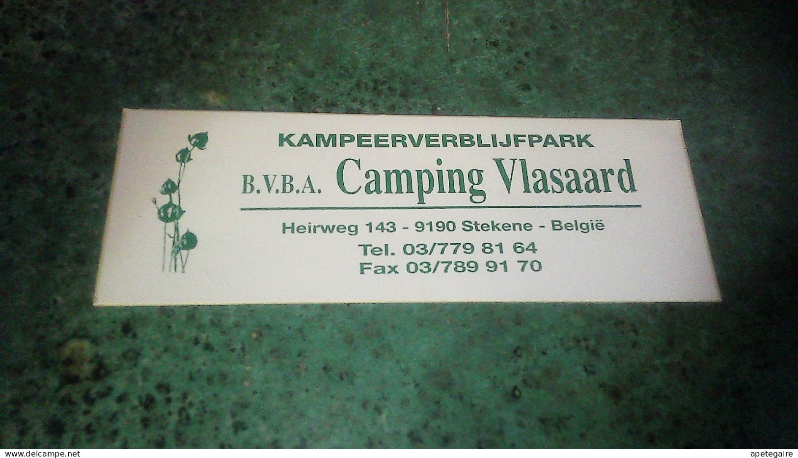 Stekene  T Belgique Autocollant Non Utilisé Camping Vlasaard - Stickers