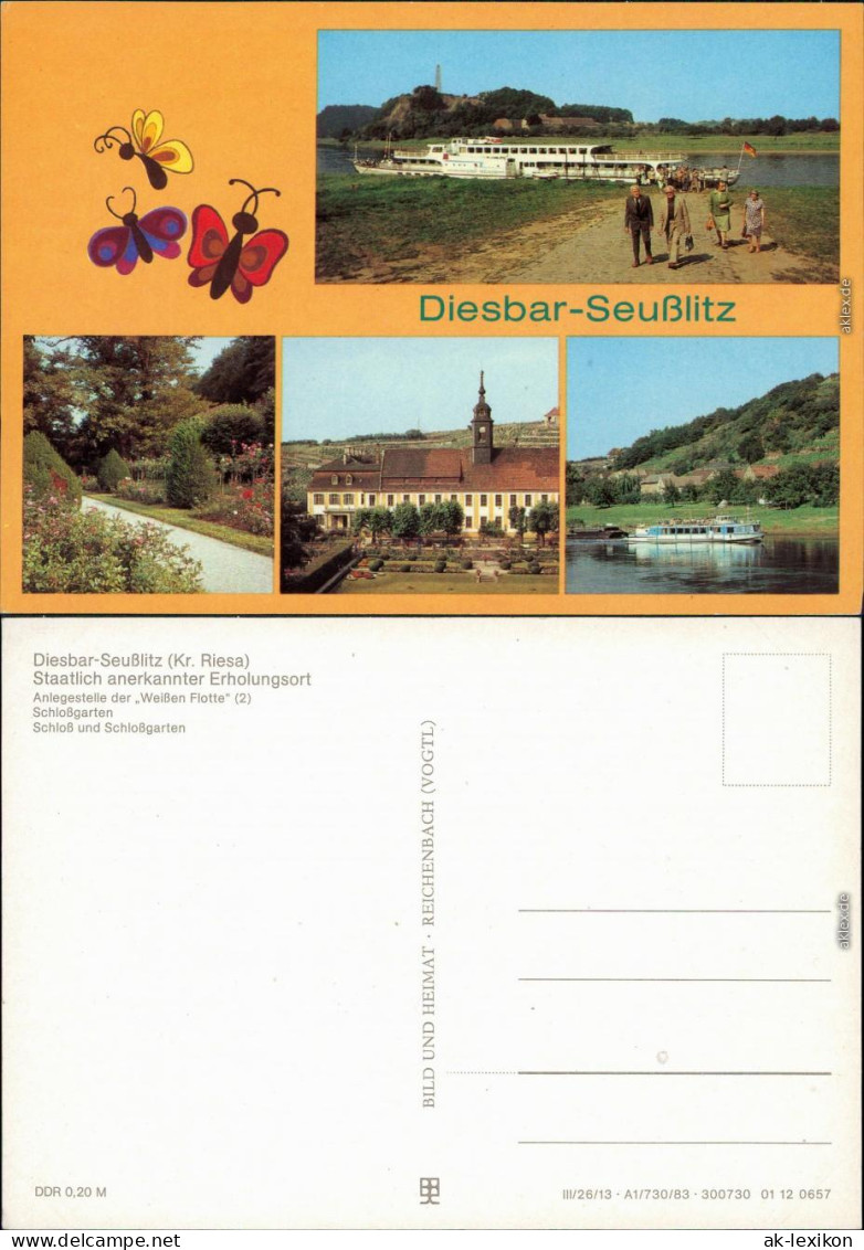 Seußlitz Nünchritz (Elbe) Anlegestelle Weißen Flotte Schlossgarten Schloss 1983 - Diesbar-Seusslitz