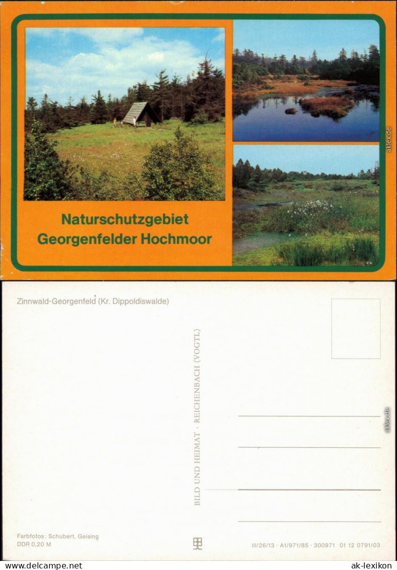 Zinnwald Georgenfeld-Altenberg (Erzgebirge) Georgenfelder Hochmoor Xx 1985 - Altenberg