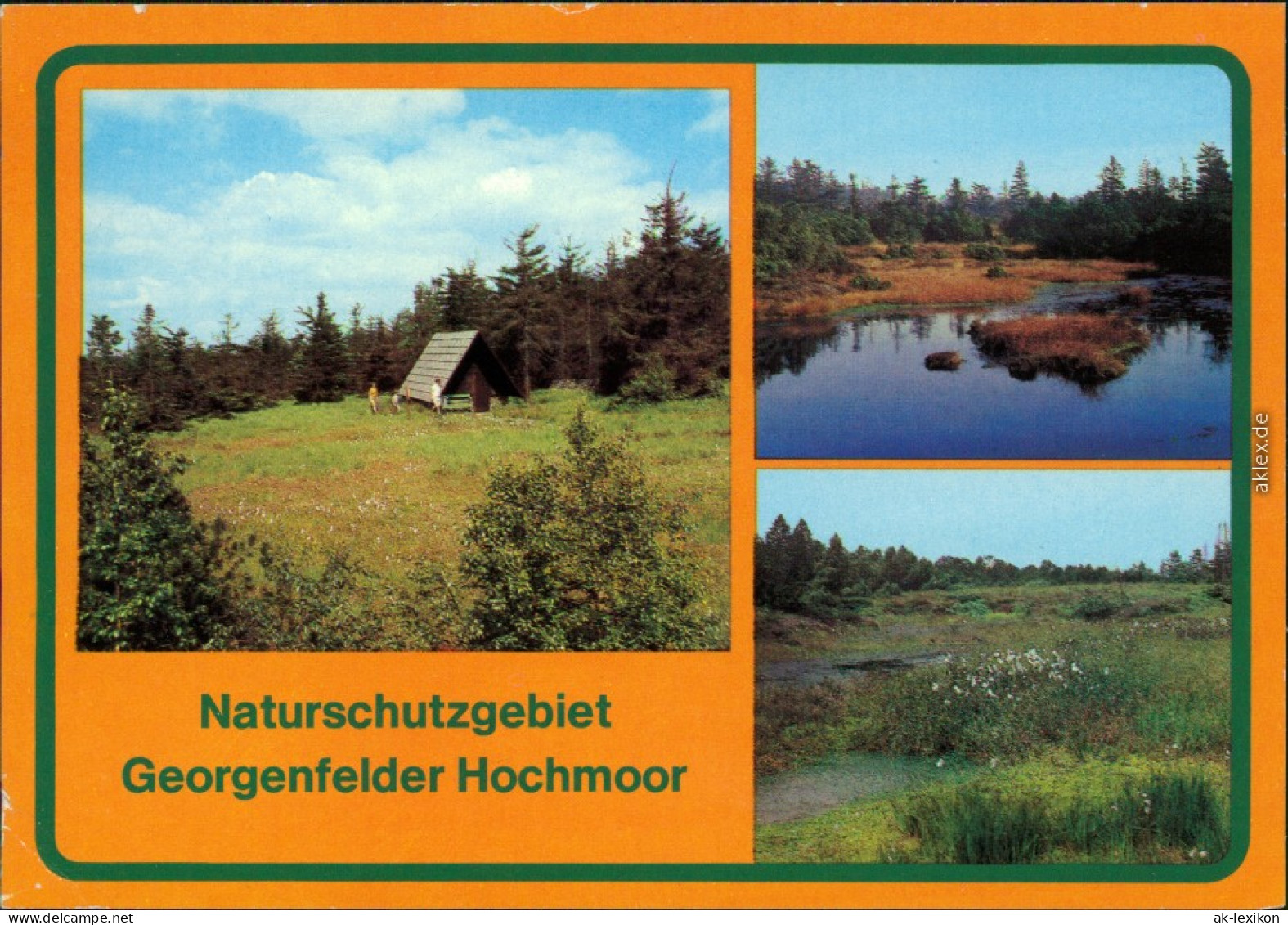 Zinnwald Georgenfeld-Altenberg (Erzgebirge) Georgenfelder Hochmoor Xx 1985 - Altenberg