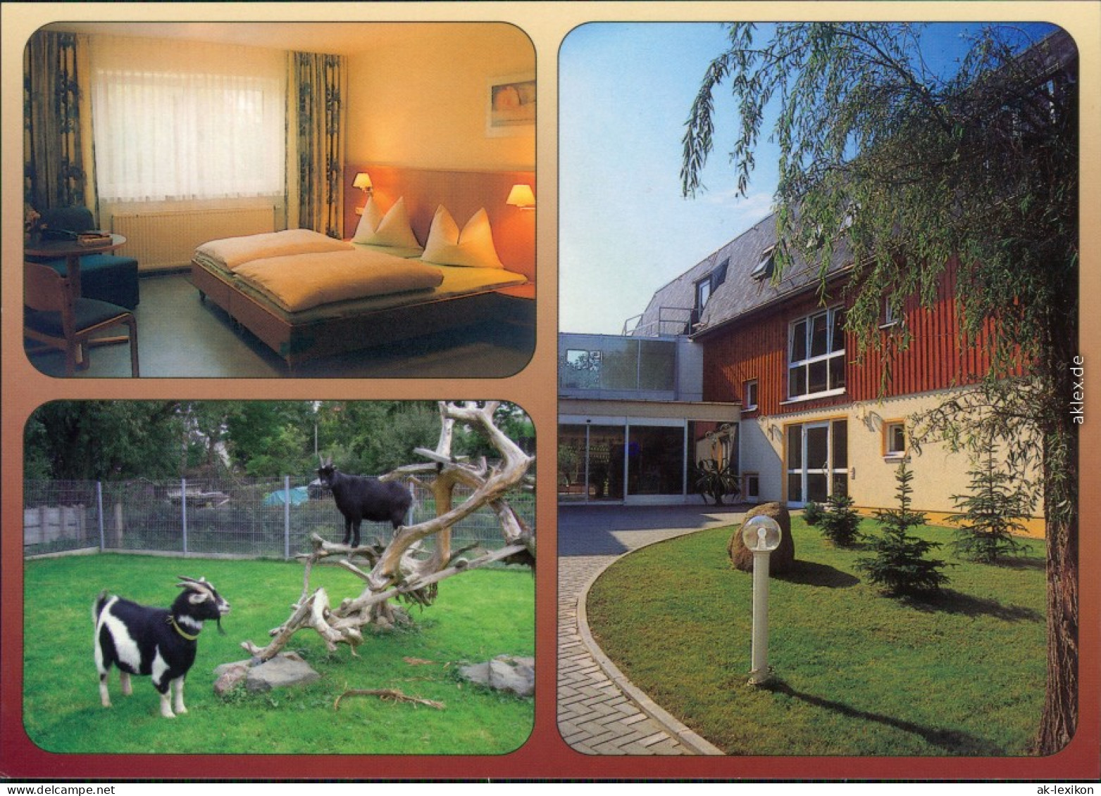 Mohlsdorf Teichwolframsdorf  Bibelheim Reudnitz - Innen Gästebereich 1995 - Sonstige & Ohne Zuordnung