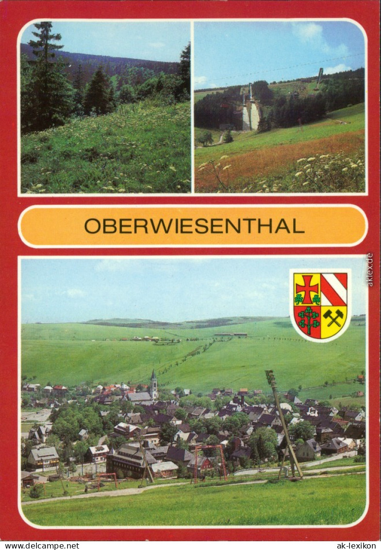 Oberwiesenthal Bärwurzwiesen Im Naturschutzgebiet Sprungschanzen,  1987 - Oberwiesenthal