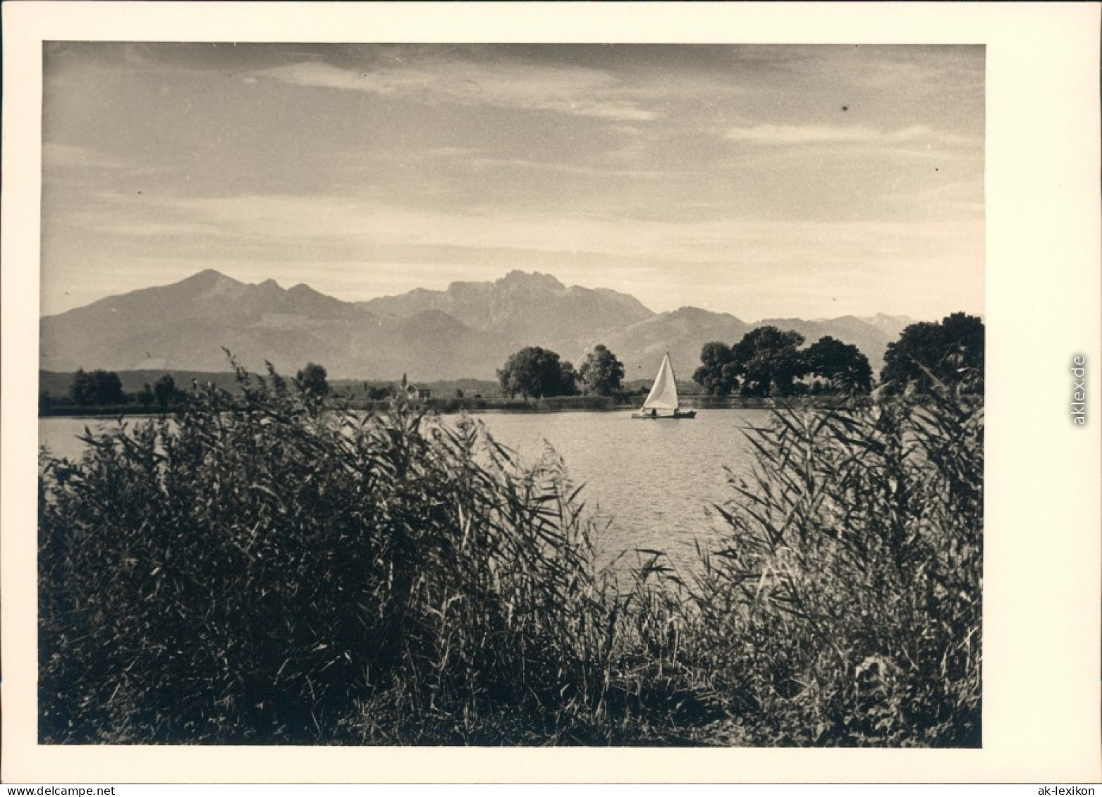 Chiemsee Panoramablick über Den See 1954 Privatfoto - Chiemgauer Alpen