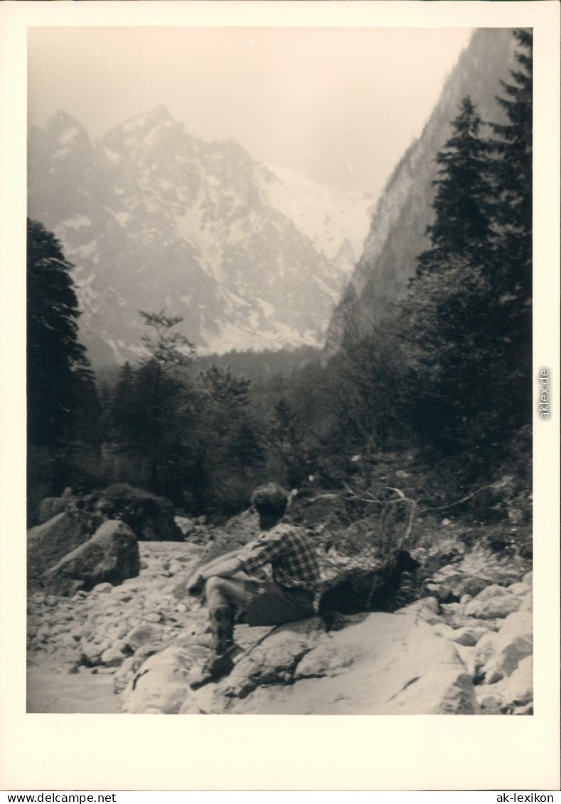 Berchtesgaden Blick Auf Die Schneebedeckten Palfenhörner 1954 Privatfoto - Berchtesgaden