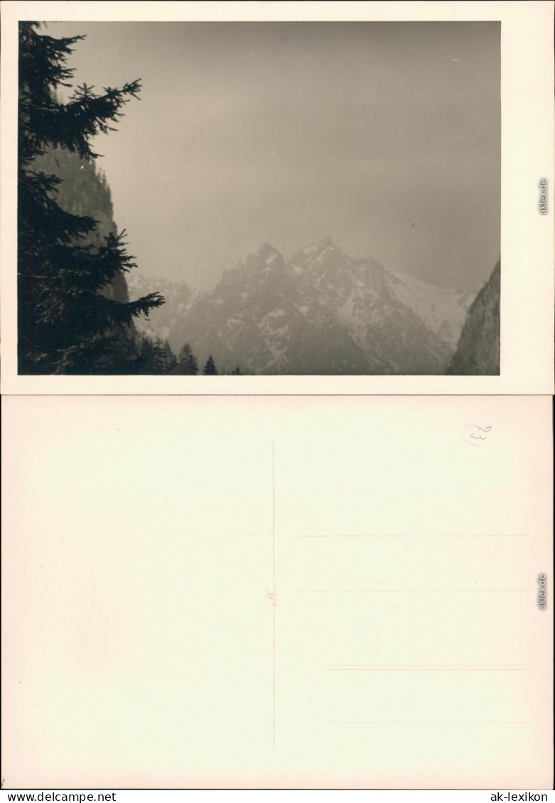 Berchtesgaden Die Palvenhörner Im Ferndunst 1954 Privatfoto - Berchtesgaden