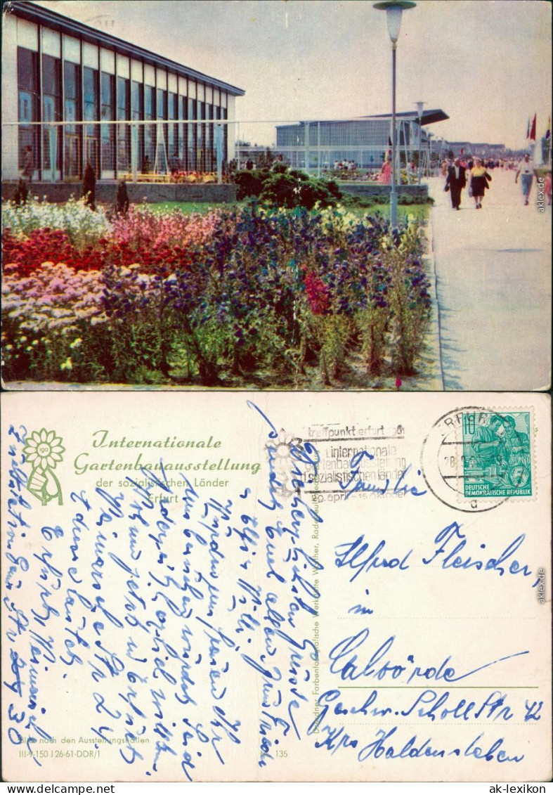 Erfurt Internationale Gartenbauausstellung Der DDR (IGA) 2 1961 - Andere & Zonder Classificatie