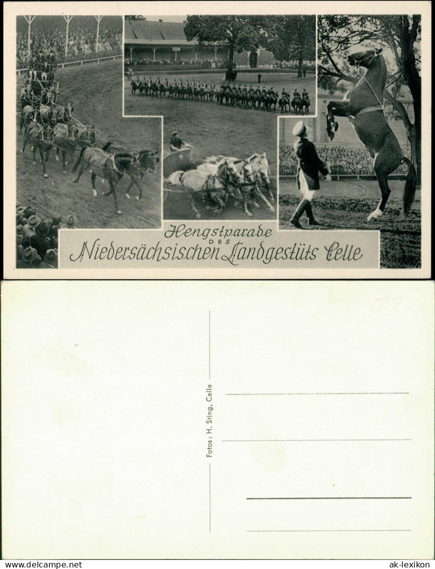 Ansichtskarte Celle Hengstparade - Landessgestüt 3 Bild 1934 - Celle