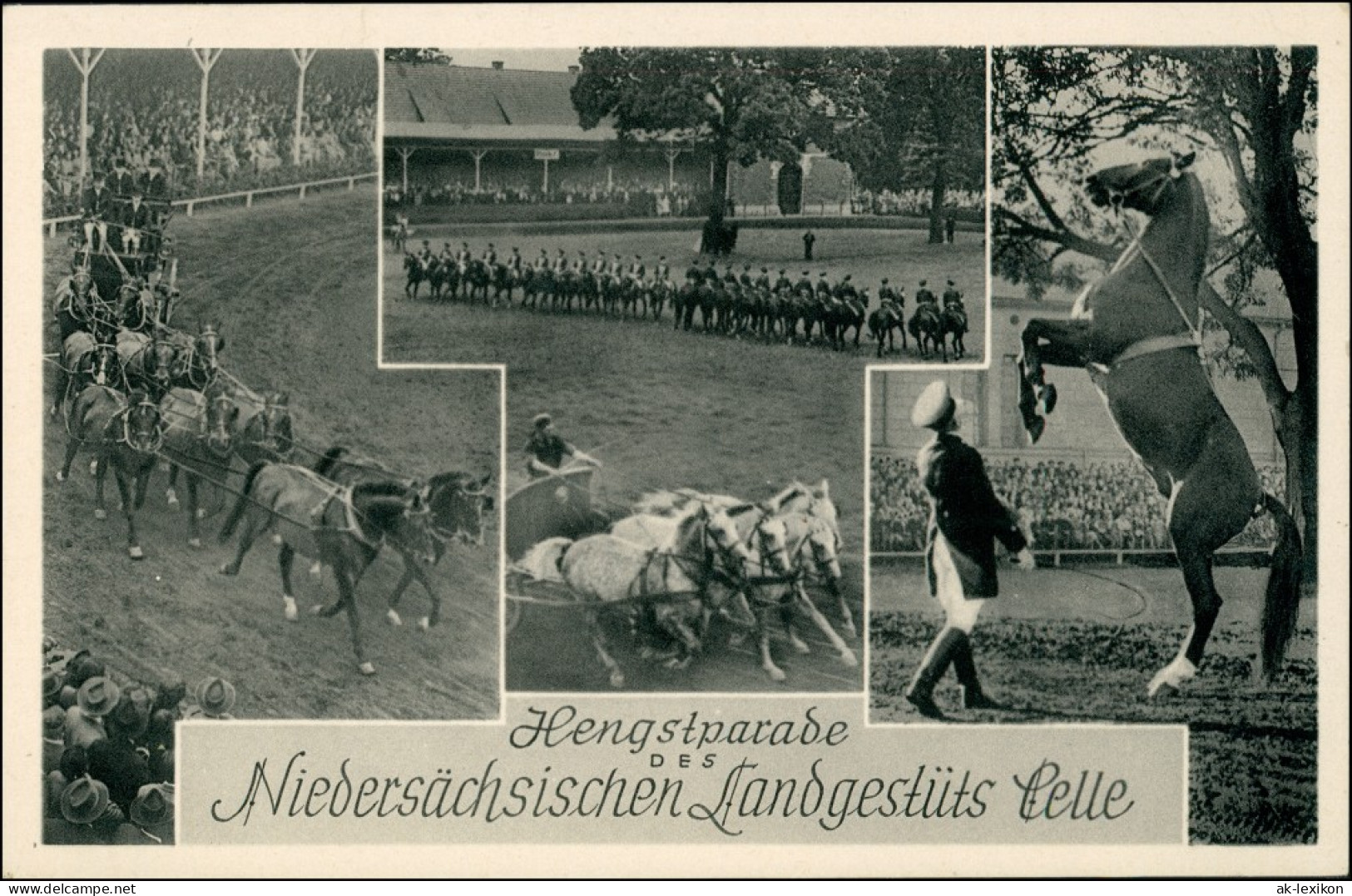 Ansichtskarte Celle Hengstparade - Landessgestüt 3 Bild 1934 - Celle