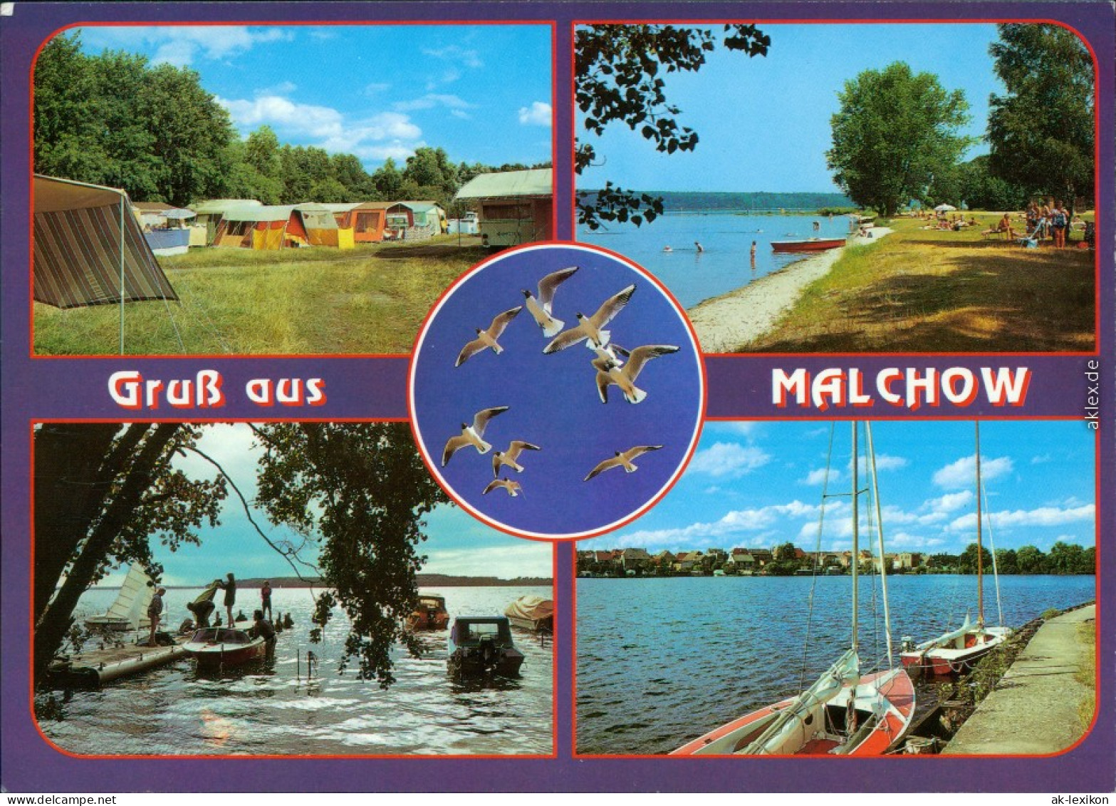 Malchow (Mecklenburg) Campingplatz, Strandpartie, Bootssteg Mit Booten (2) 1995 - Autres & Non Classés