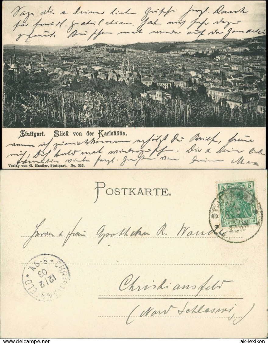 Ansichtskarte Stuttgart Reben - Blick Von Der Karlshöhe 1903 - Stuttgart