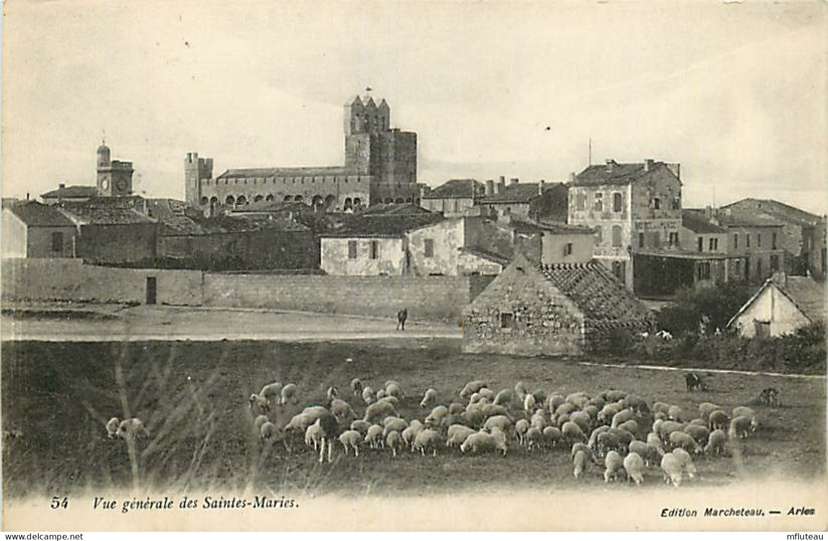 13* LES SAINTES MARIE  Vue Generale   - Moutons      RL02,1312 - Saintes Maries De La Mer