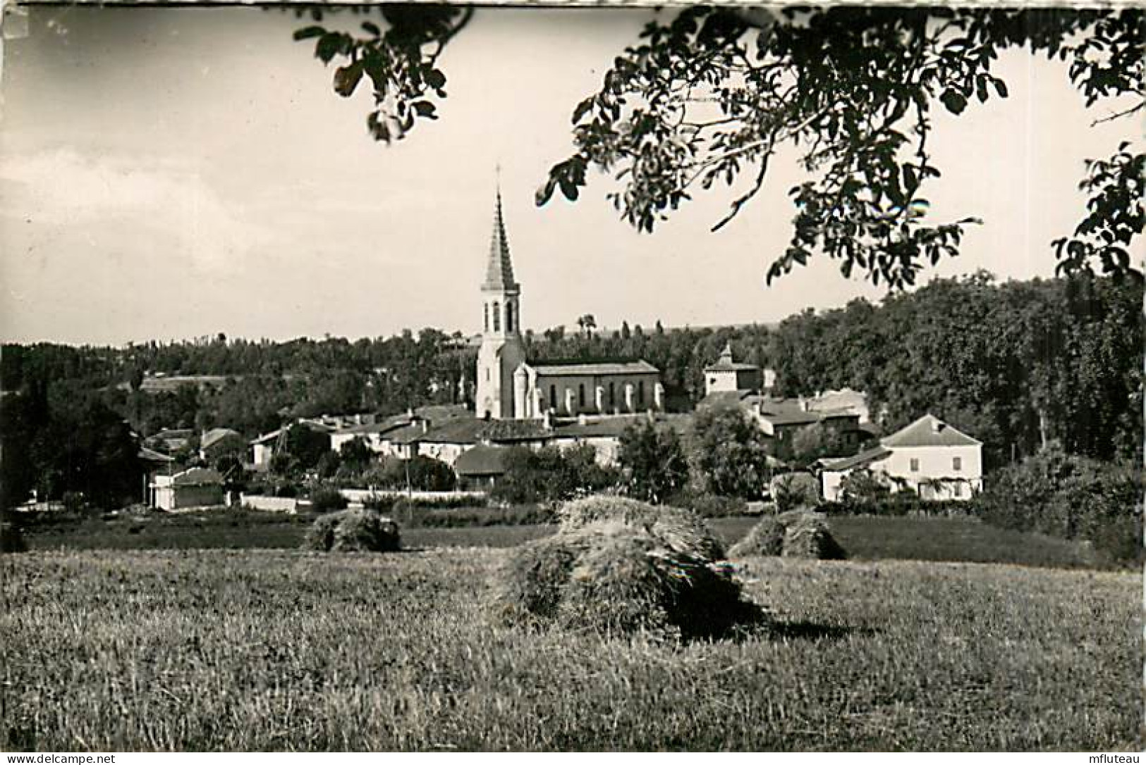 32* SARRANT  Vue Generale    CPSM(9x14cm)     RL02,1030 - Autres & Non Classés