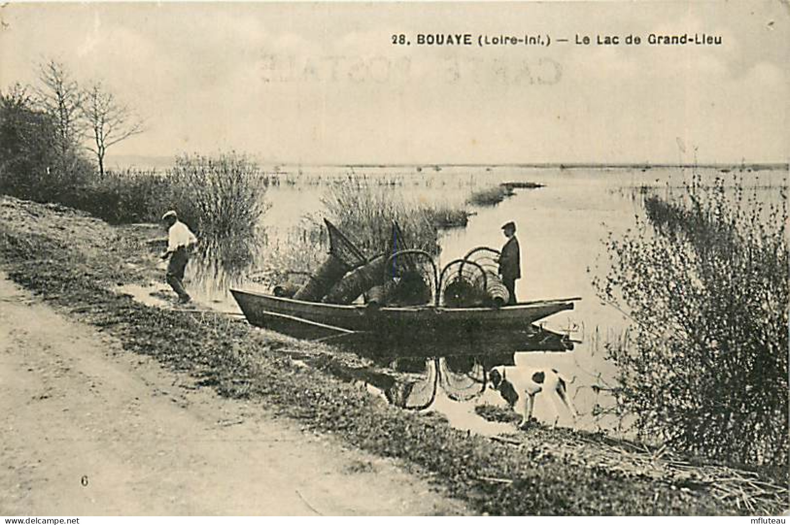 44* BOUAYE Lac De   Grand Lieu    RL03,0599 - Autres & Non Classés