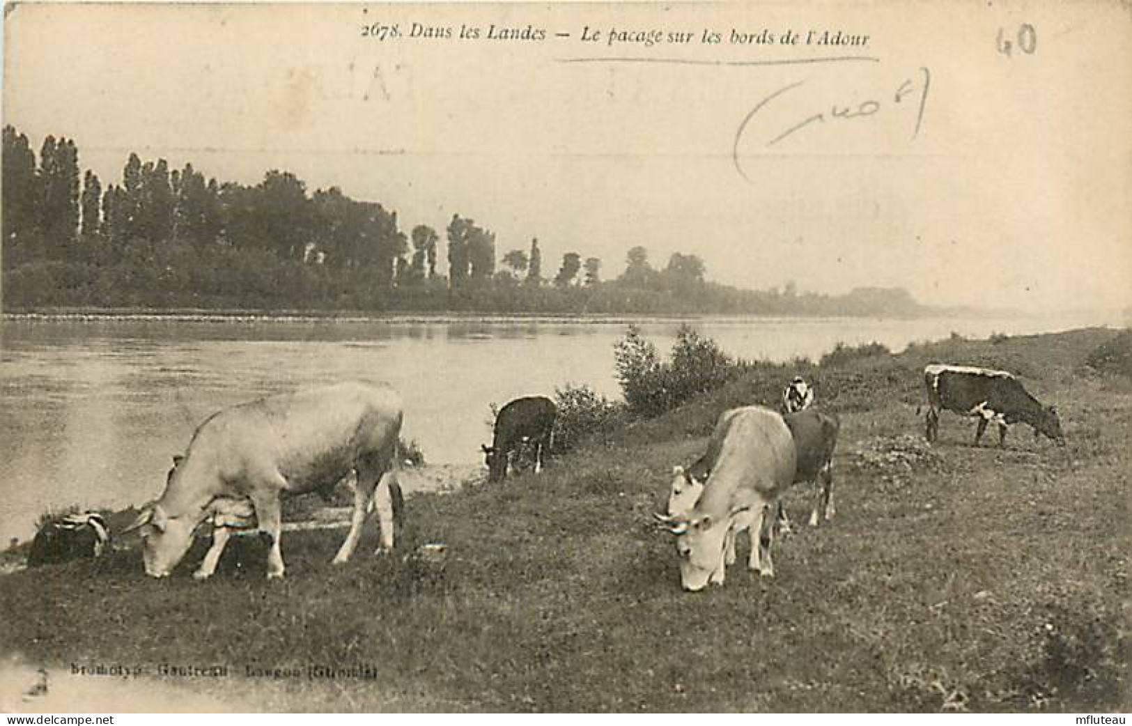 40* LANDES  Pacage Au Bord De L Adour     RL03,0383 - Otros & Sin Clasificación