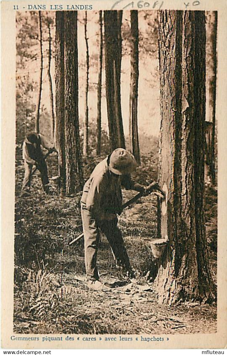 40* LANDES Gommeurs  « hapechots »   RL03,0373 - Otros & Sin Clasificación