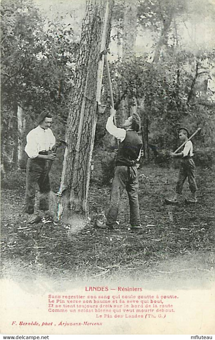 40* LANDES Resiniers     RL03,0358 - Autres & Non Classés