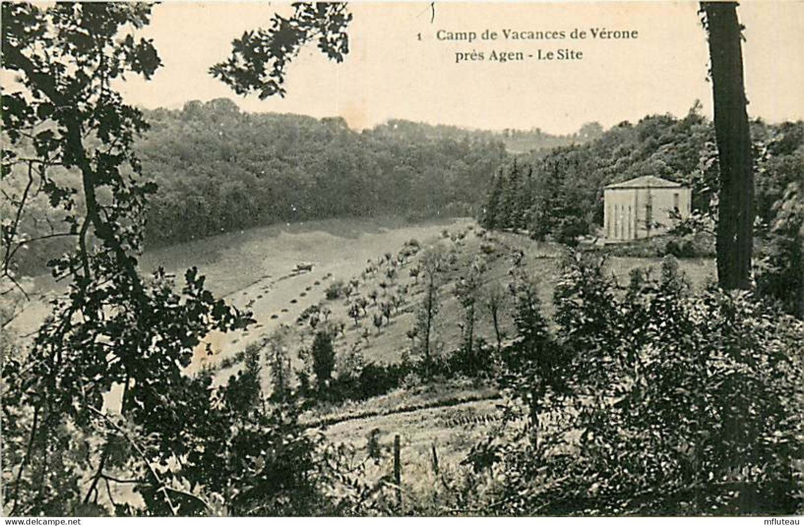 47* VERONNE Camp De Vacances     RL03,0948 - Autres & Non Classés