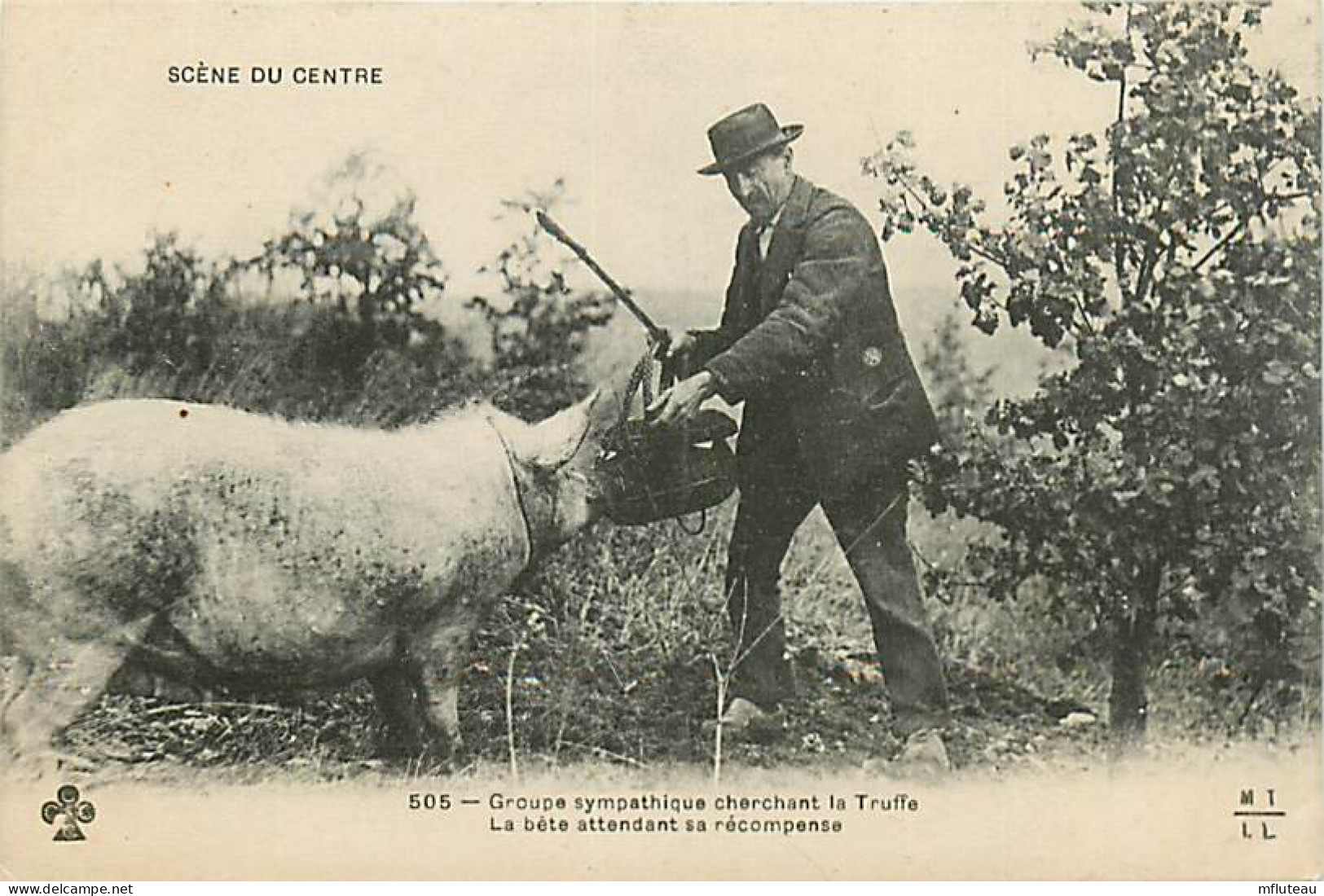 46* SCENE DU CENTRE  Cochon Cherchant La Truffe   RL03,0938 - Landbouwers