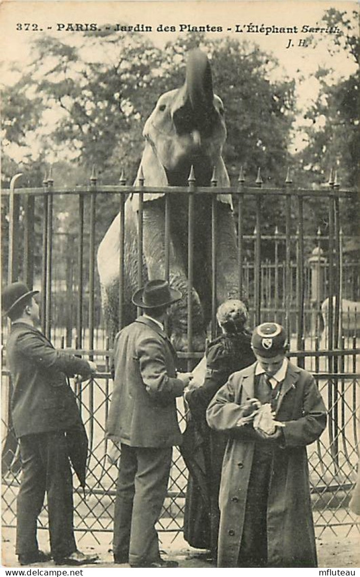 75* PARIS  5e  Jardin Des Plantes  Elephant      RL04 .0797 - Distretto: 05