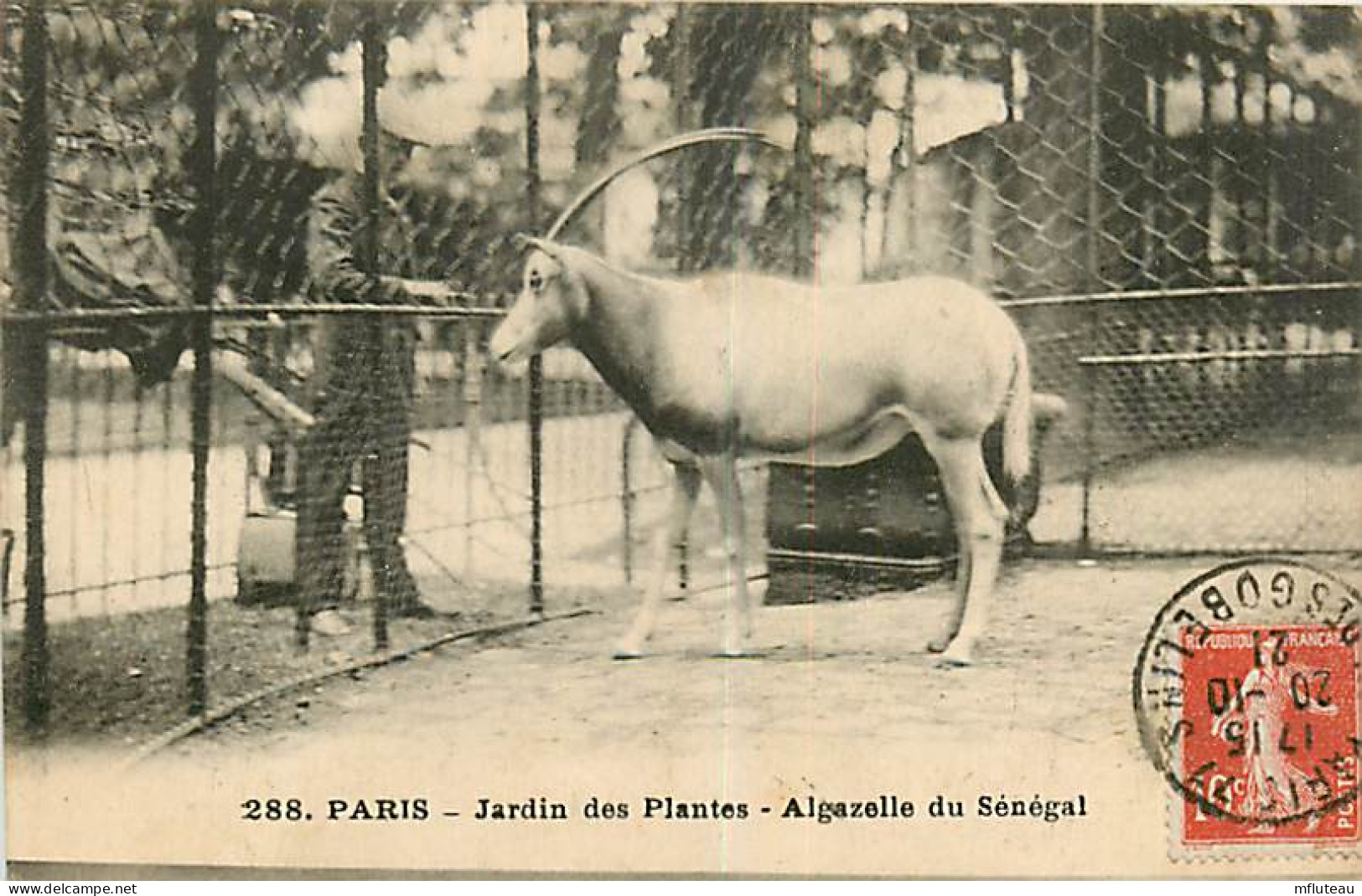 75* PARIS  5e  Jardin Des Plantes algazelle Du Senegal    RL04 .0733 - Distrito: 05