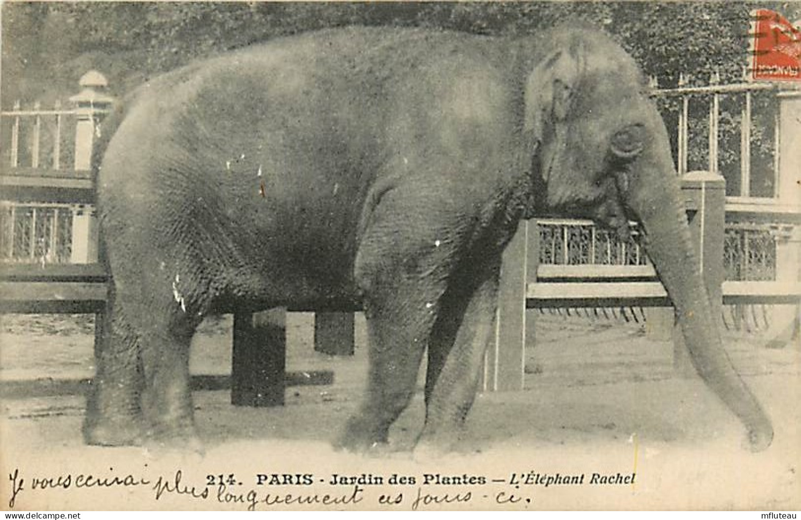 75* PARIS 4e   Jardin Des Plantes  Elephant    RL04 .0591 - Paris (04)