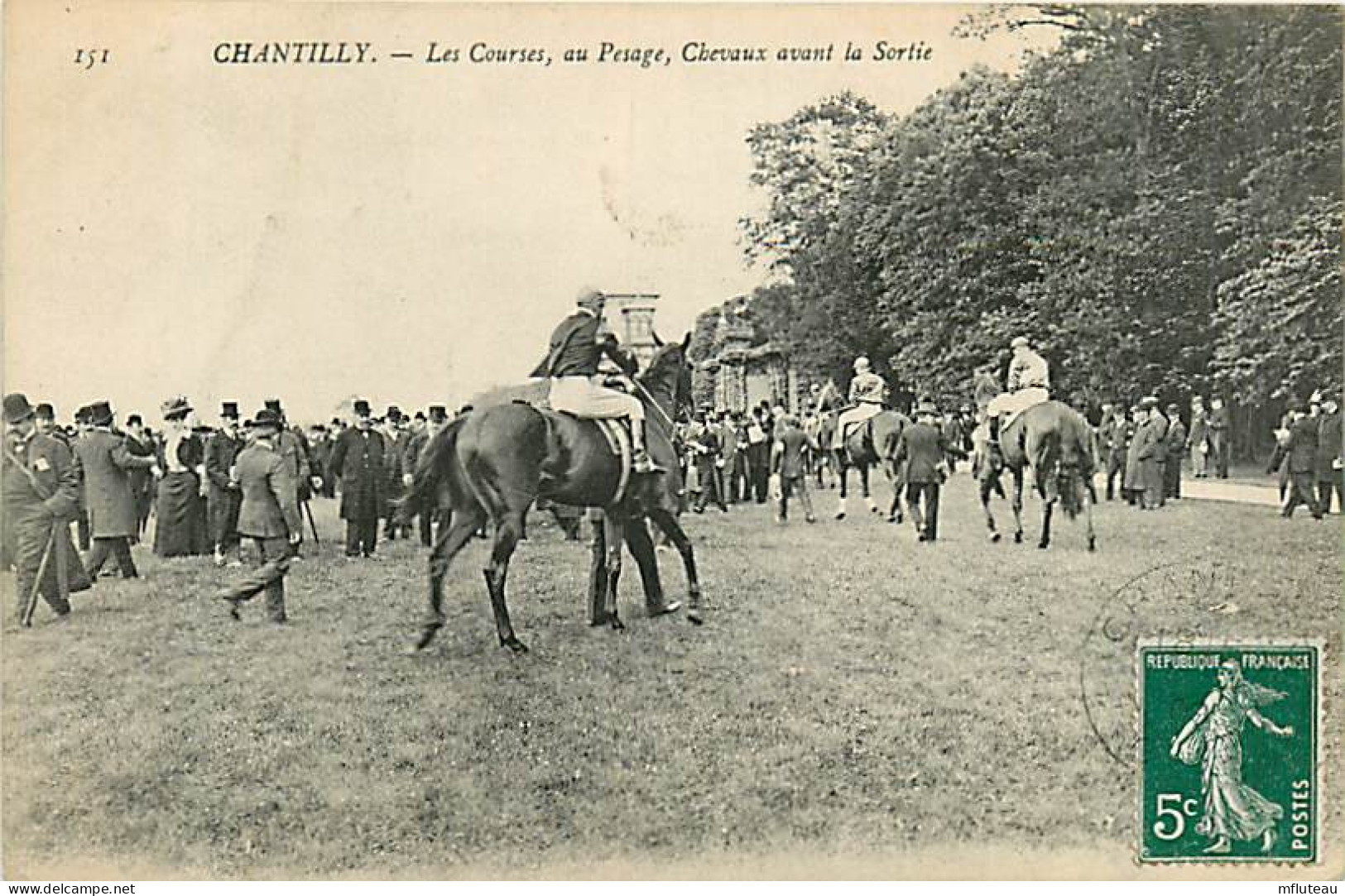 60* CHANTILLY Courses   Chevaux Avant La Sortie  RL05.0807 - Chantilly