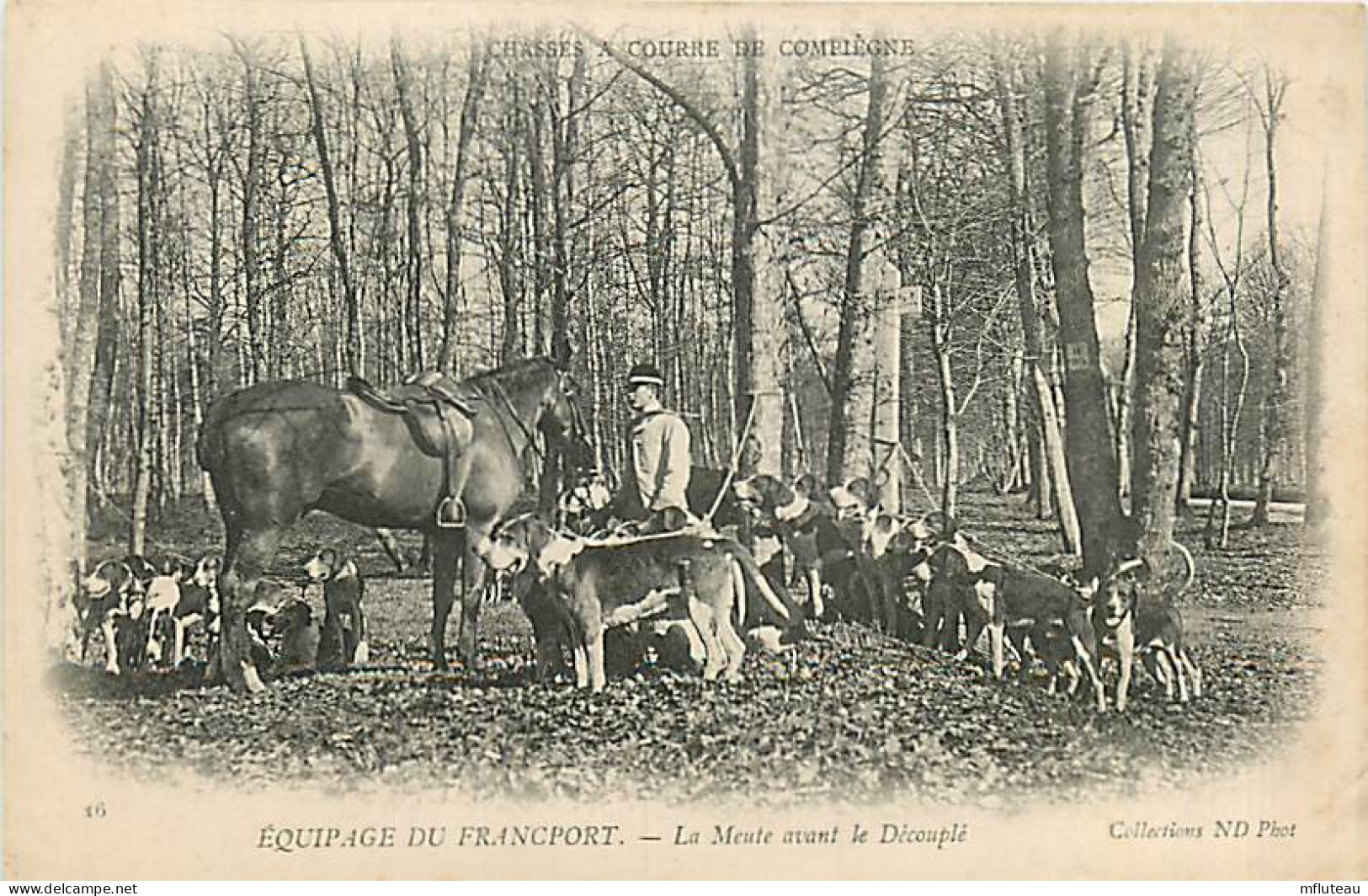 60* COMPIEGNE    Chasse A Courre  Equipage  Du Francport  Meute     RL05.0701 - Jagd