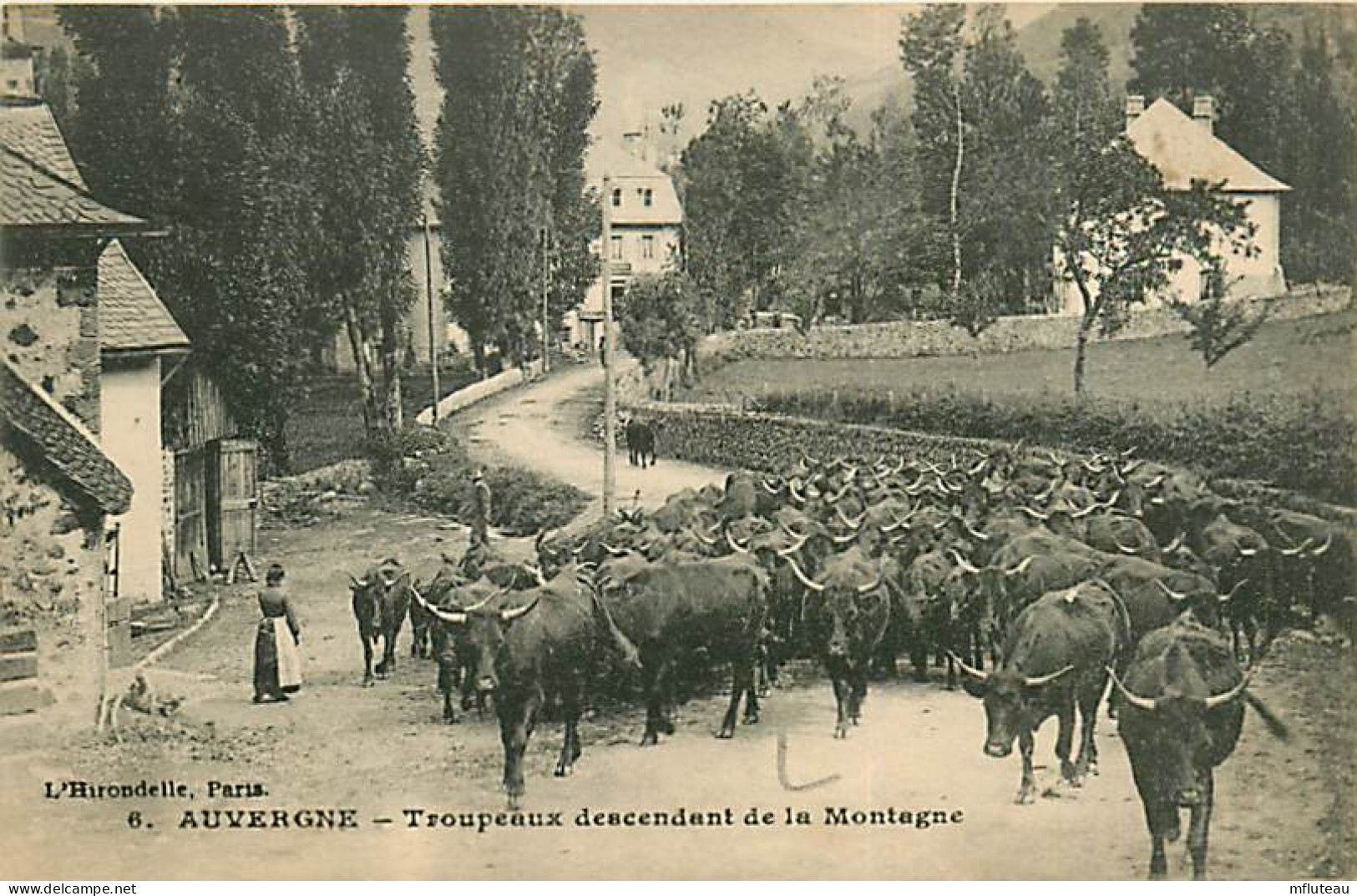 63* AUVERGNE    Troupeau Descendant De La Montagne  RL05.1270 - Viehzucht