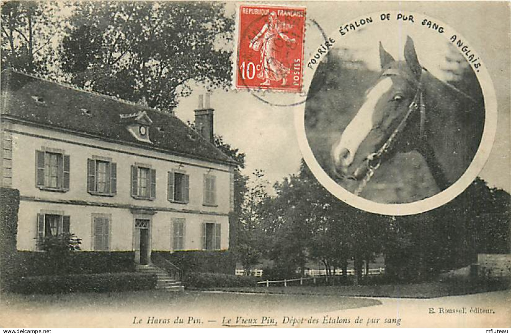 61* LE HARAS DU PIN  Depot Etalons Pur Sang RL05.0953 - Andere & Zonder Classificatie