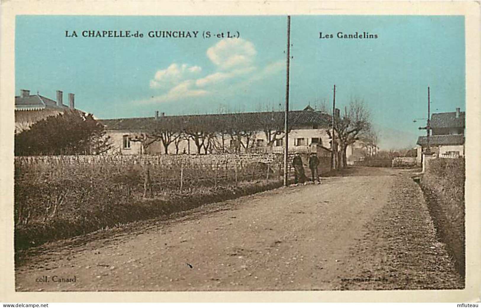 71* LA CHAPELLE DE GUINCHAY  Les Gandelins   (CPSM 8x14cm)       RL06.0900 - Other & Unclassified