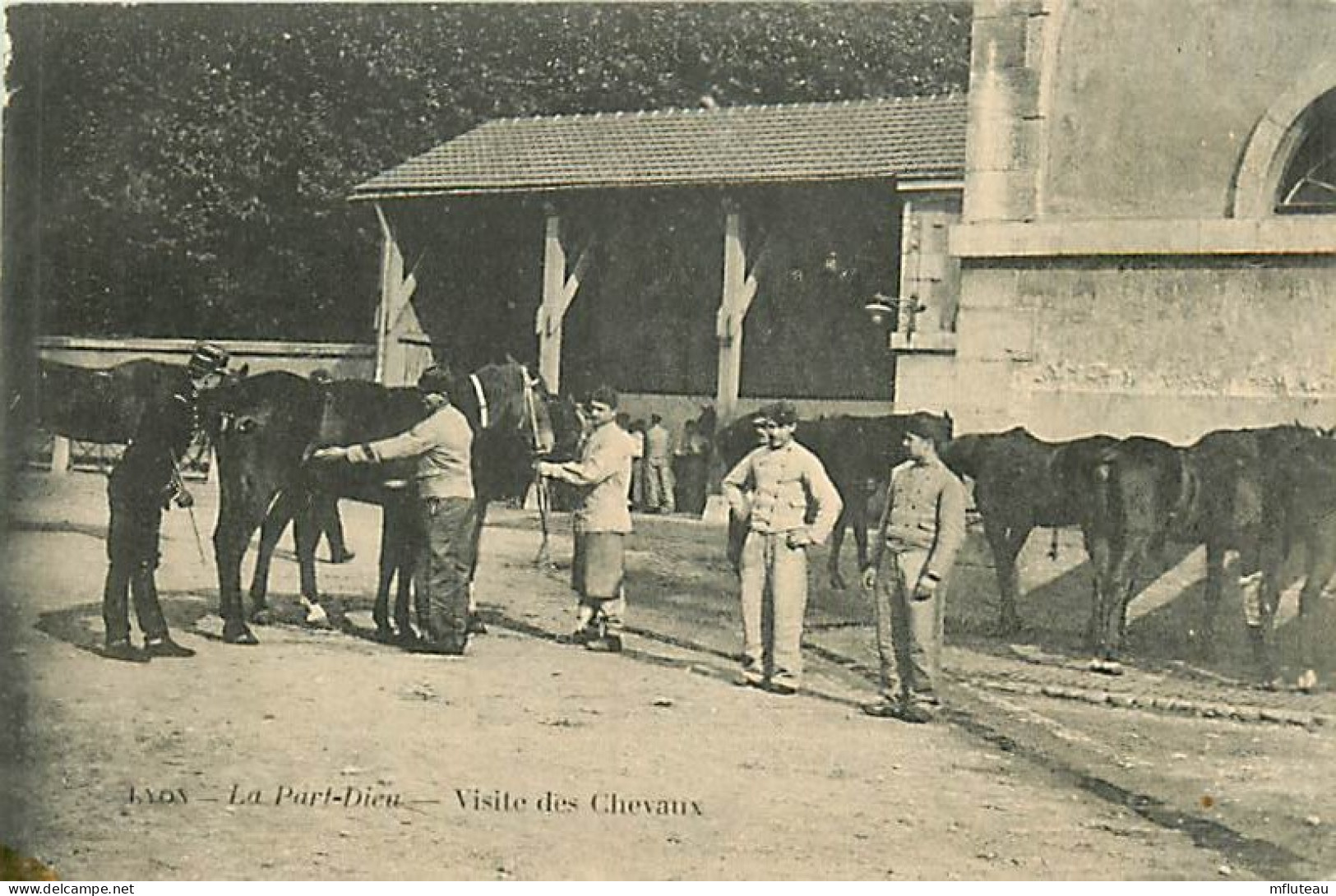 69* LYON  La Part Dieu  Visite Des Chevaux       RL06.0755 - Kazerne