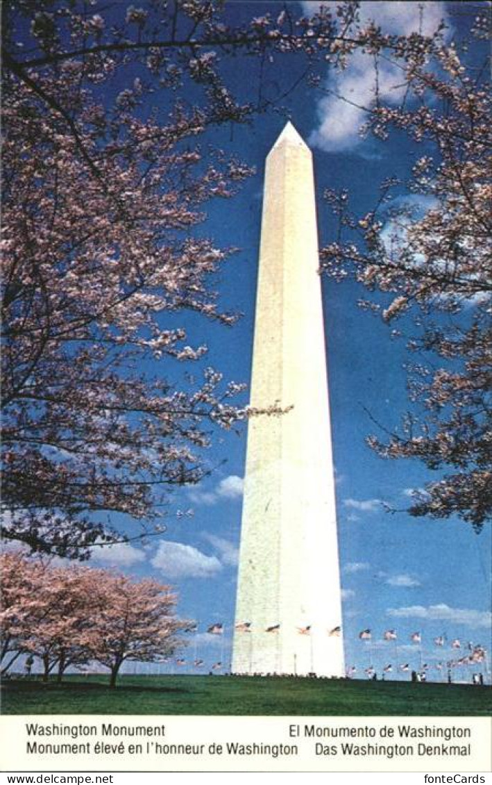 11491504 Washington DC Washington Monument  - Washington DC