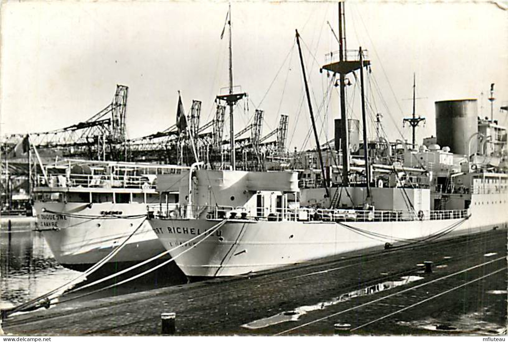 76* DIEPPE  Bassin Du CANADA Bananiers   (CPSM 9x14cm)   RL07.0249 - Dieppe