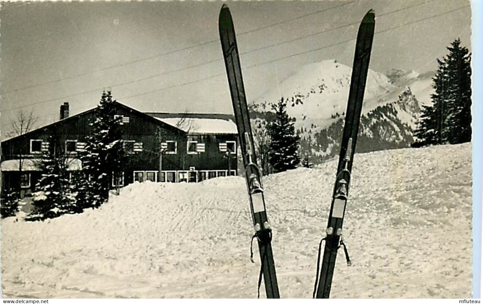 74* MORZINE Le Viking  (CPSM 8x14cm)          RL06.1384 - Morzine