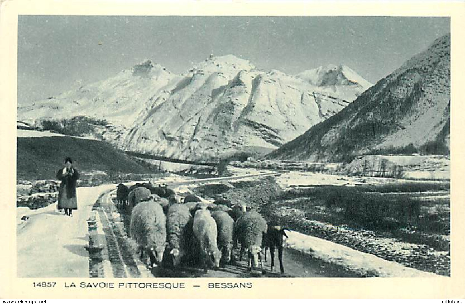 73* BESSANS  Moutons           RL06.1208 - Viehzucht