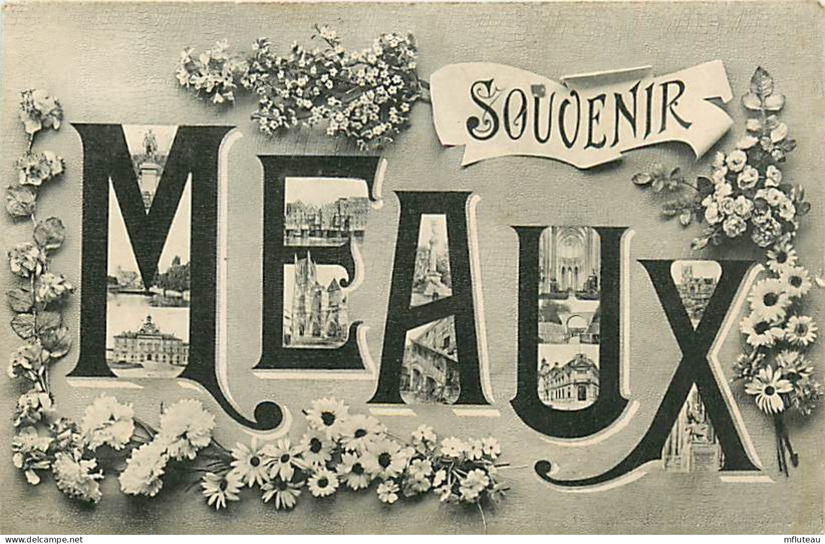 77* MEAUX    Souvenir  Multivues    RL07.0610 - Meaux