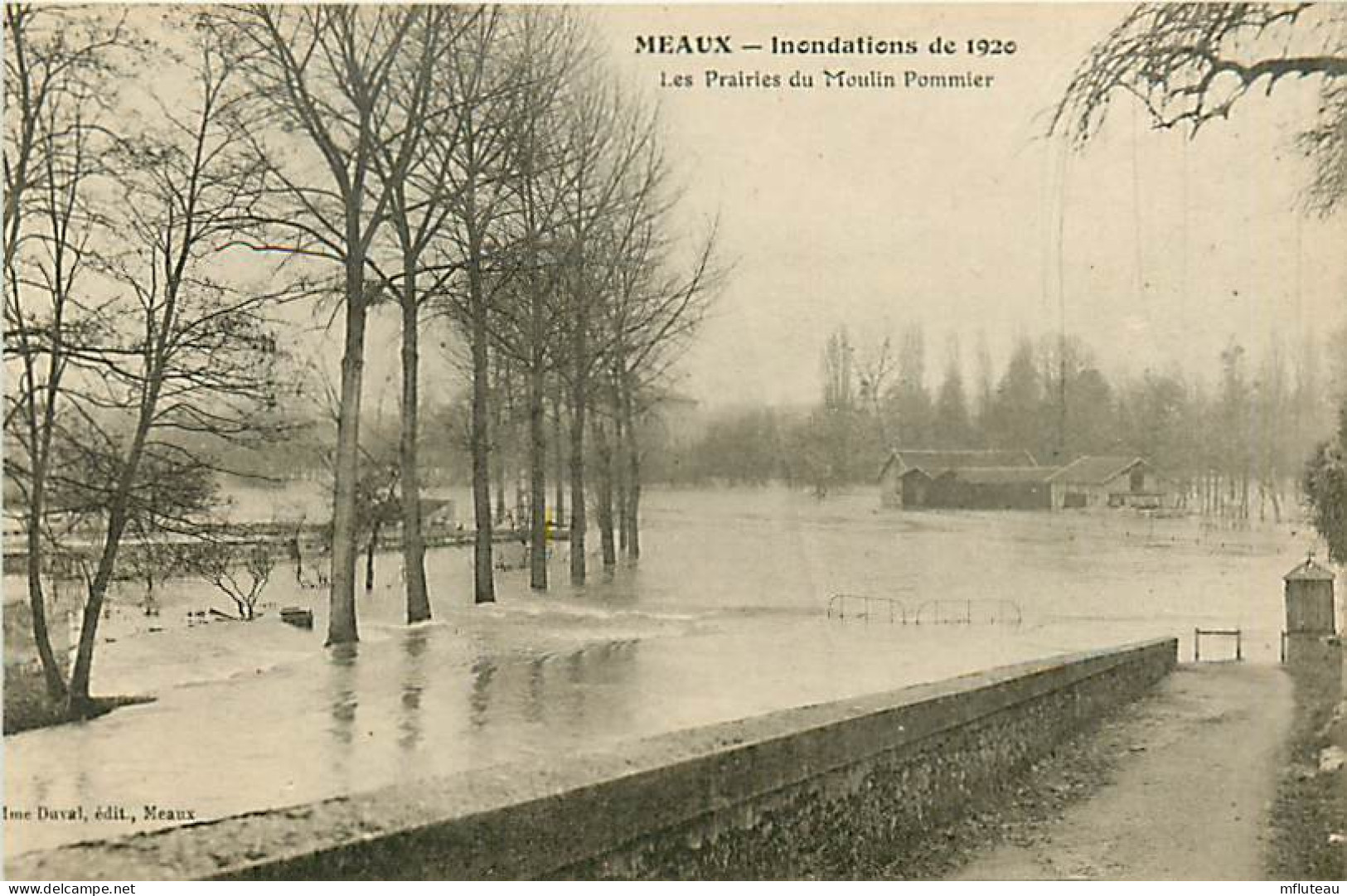 77* MEAUX   Crue 1920  Prairie Du Moulin Pommier    RL07.0568 - Meaux