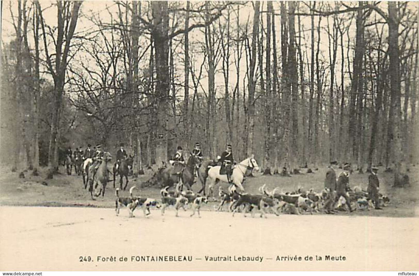 77* FONTAINEBLEAU  Chasse A Courre  Arrivee  De La Meute     RL07.1255 - Caza